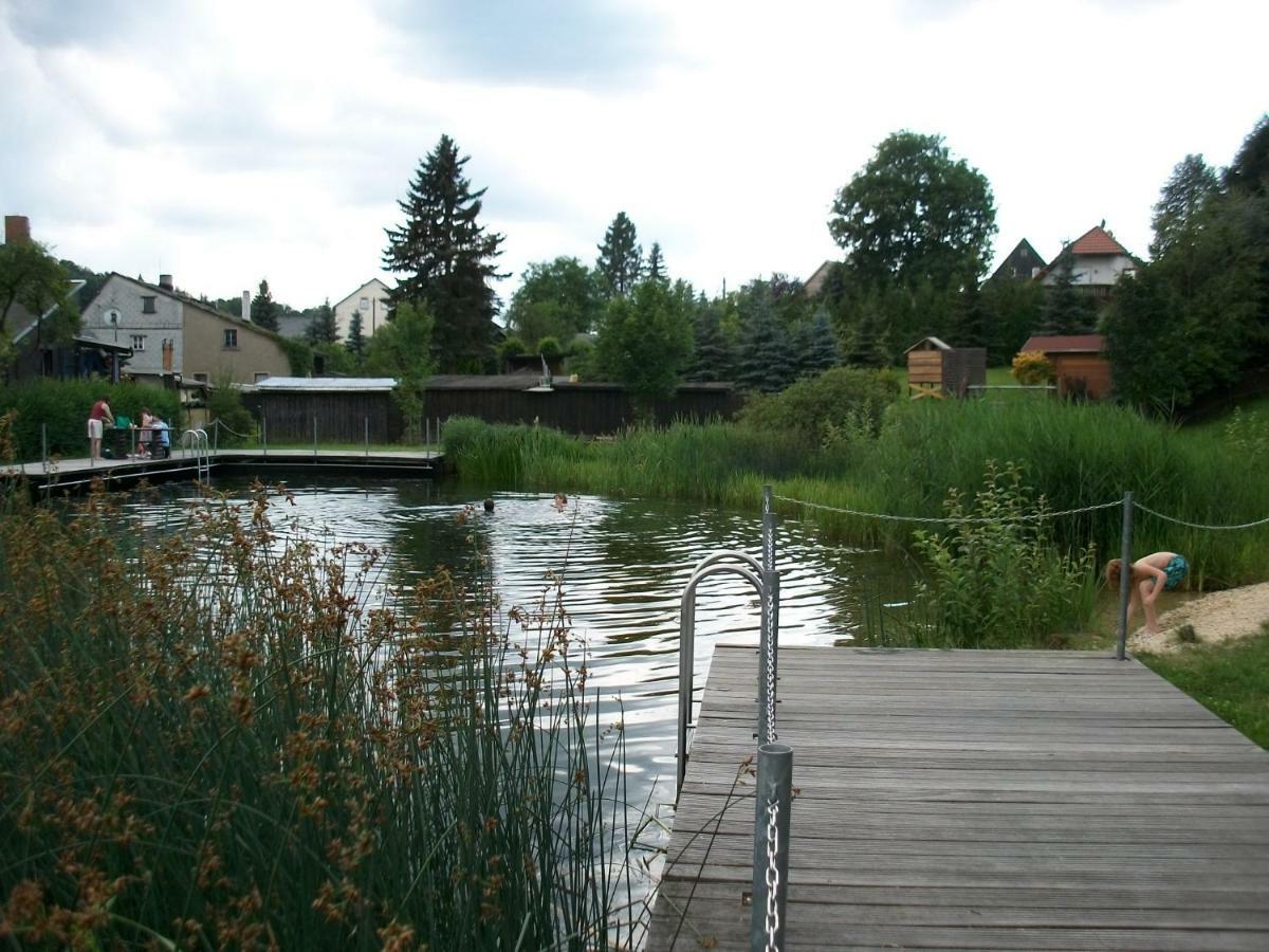 Ferienwohnung Fewo Hoyer Hinterhermsdorf Exterior foto