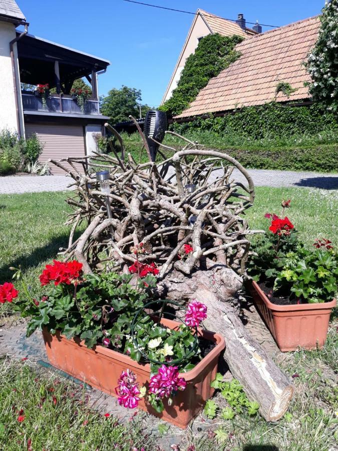 Ferienwohnung Fewo Hoyer Hinterhermsdorf Exterior foto